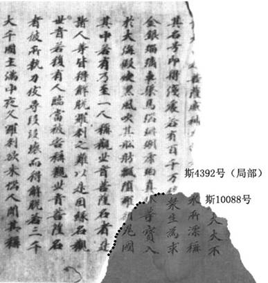 斯10088缀合图