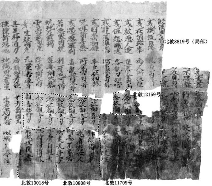 北敦11709号+北敦8819号+北敦12159号+北敦10018号+北敦10808号